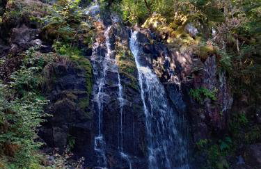 Notre Renardière, Gîtes à Saulxures-sur-Moselotte, Hautes-Vosges - Foto 51