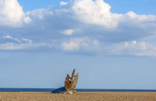 2 Suffolk Cottage, Knodishall - Aldeburgh Coastal Cottages - Foto 14