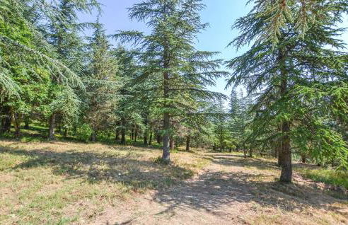 Socagril Verde Ss - Foto 28