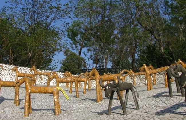 Private Chandigarh Sightseeing Tour - Photo 5