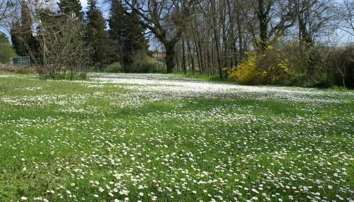 Casa il Girasole con piscina nelle Marche - Foto 4, Other