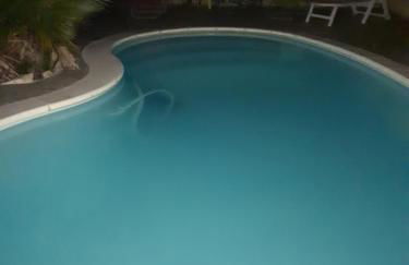 Méditerranée - Foto 14