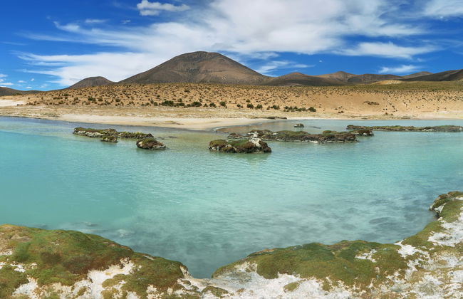 Surire Salt Flat Day Trip - Photo 6