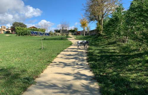 casa rural de un artista en plena naturaleza piscina y parque de esculturas en villarcayo - Photo 54