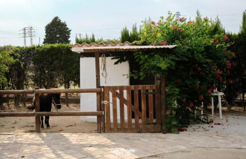 Casa Marieta A - Ideal per a families - Foto 34