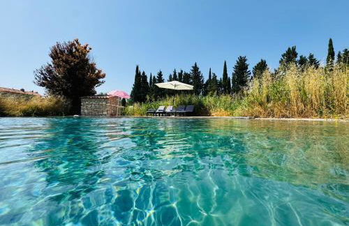 La palasse - Foto 39