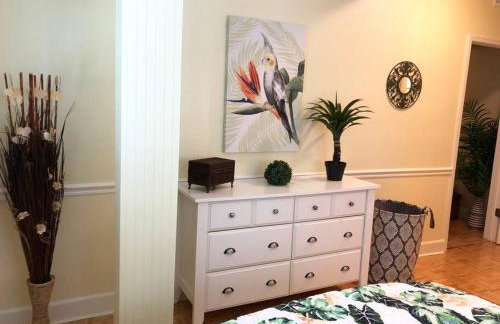 2 Bedroom Apt Overlooking Dunedin Town Square NO KIDS, NO PETS - Photo 10