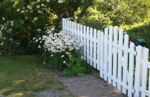 Der historische Silberhof von 1856 - Foto 25