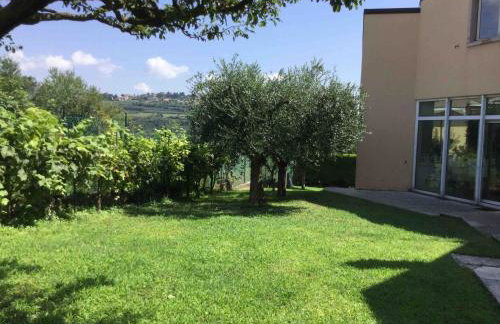 Suite Al Pian Apartment - Foto 8