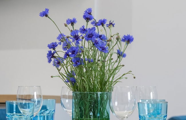 Polanki Aqua by Renters Prestige - Foto 27