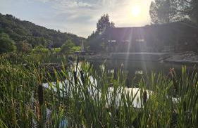 L'Etang Des Cigales - Foto 49