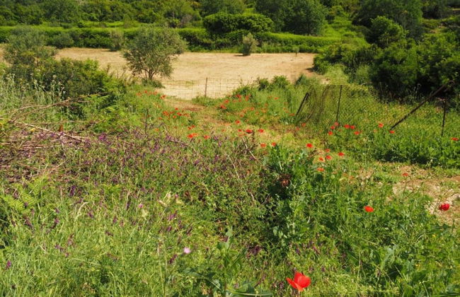 Apartment in Dubrovni With Garden - Foto 36
