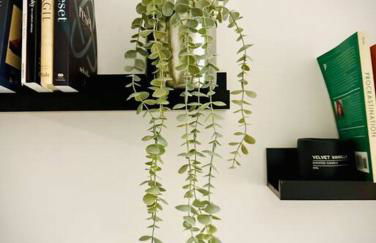 Gleddoch Coach House - Foto 30