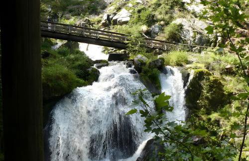 Ferienwohnung Vogelsang - Photo 25