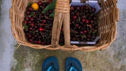 Casa de São Roque - Lamego - Photo 2