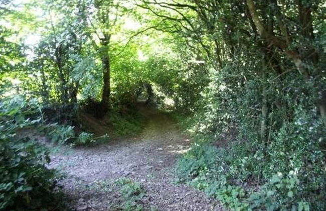 Gite de la Fontaine de Barry - Foto 17