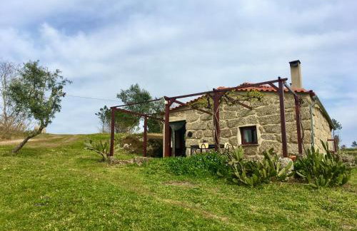 Quinta do Sobral de São Geraldo - Foto 12