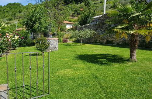 Green House - Foto 8