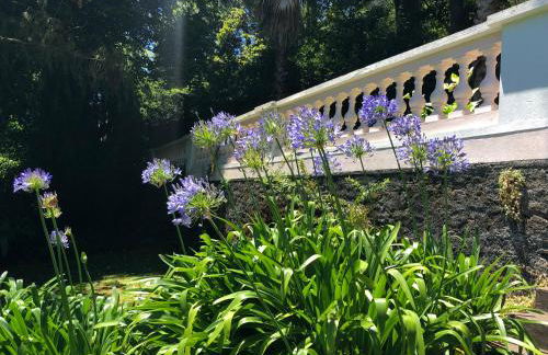 Quintinha de Palmyra - Foto 33