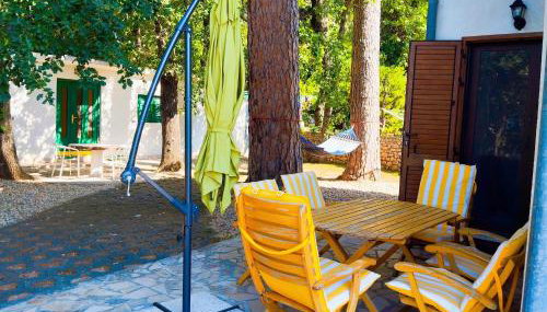 Holiday house Pinus Pinea - Foto 3, Garden