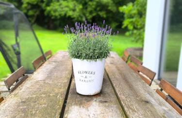 Fewo im Fachwerk mit Bergblick in Alleinlage und großem Garten im Allgäu, Infrarotkabine - Foto 14