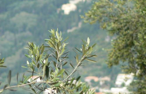 Archontiko Loukis - Foto 19