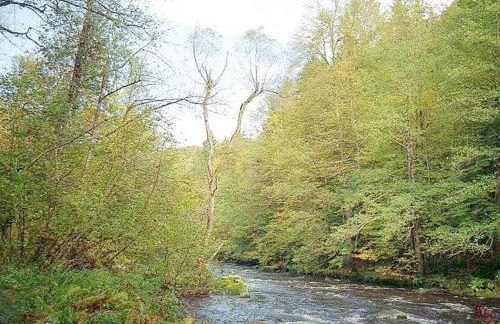 Farmhouse in Hutthurm for 4 people - Foto 22