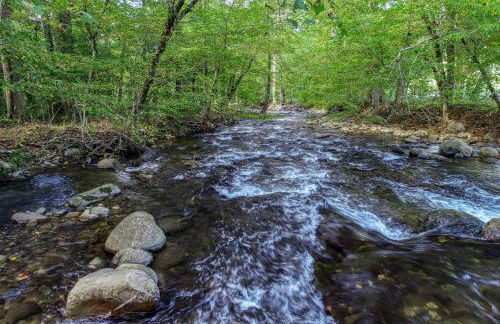 Sweet - 2 Bedrooms, 2 Baths, Sleeps 6 Cabin by RedAwning - Foto 53