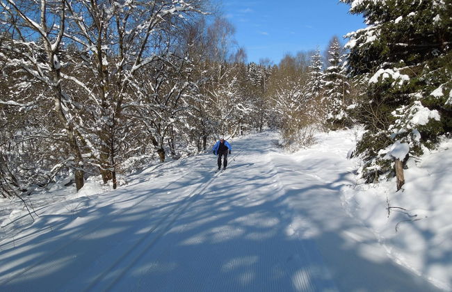 Blockhaus Bodefall - Foto 16