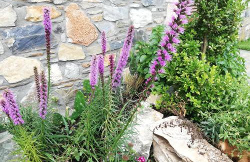 Olympus Country House - Foto 25