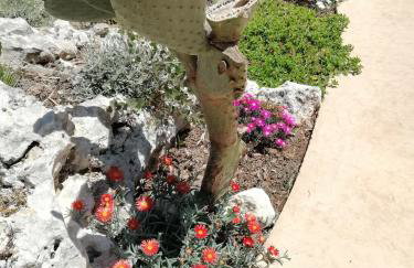 Appartamentino in villa a 2 passi dal mare - Foto 15