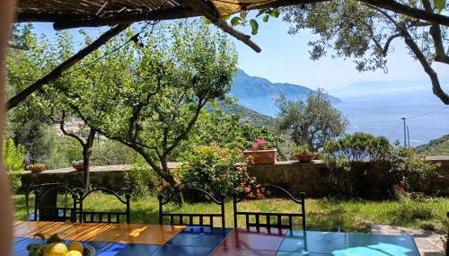 Amalfi Coast, Positano, Sorrento, Capri, Garden, Villa Carcara - Foto 3