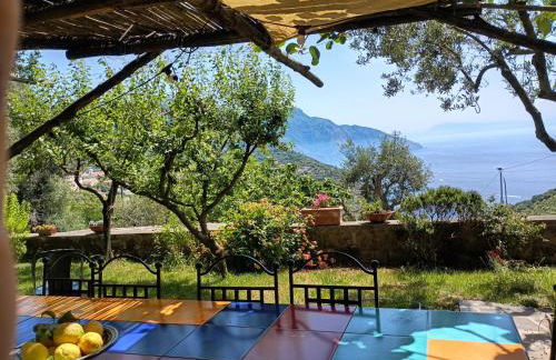 Amalfi Coast, Positano, Sorrento, Capri, Garden, Villa Carcara - Foto 3