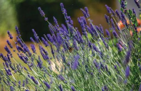 Nice Home In Brsec With House Sea View - Foto 17