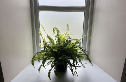 Apple Cottage - Photo 29