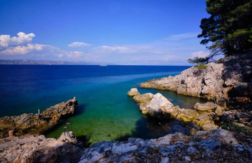 Vila Vita - Photo 71