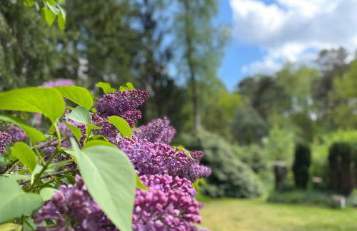Steinhuder Meer Ferienhaus Schwalbennest - Foto 21