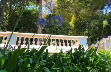 Quintinha de Palmyra - Foto 7