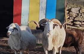 Gojim Casa Rural - Foto 118