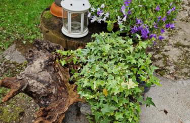 Casa all’antica fontana - Foto 11