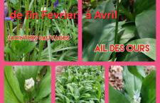 LE CISE EAU À bois - Foto 38