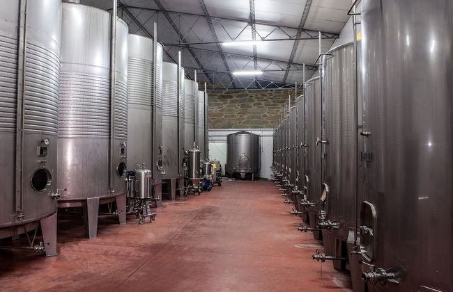 Casa Lata - Wine & Tourism - Photo 43