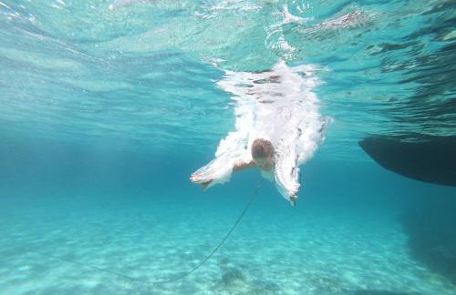 Blue Water Apartment - Foto 39