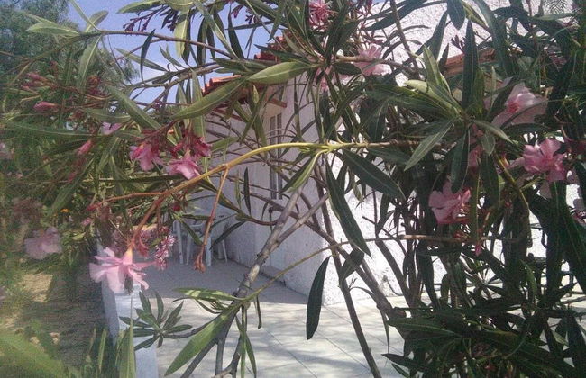 Nature Houses - Foto 51