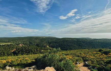 CAN ROMY APPARTEMENT T3 B - à 20m de la plage de Cala Montgo - Foto 34