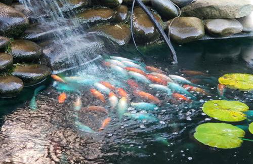 Grizzly Roadhouse Bed and Breakfast - Foto 36