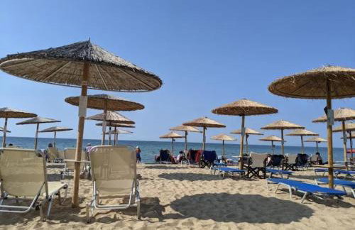 Yard of Panos - Foto 45