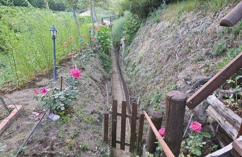 Agriturismo le Fontane - Lago di Bolsena - Foto 79