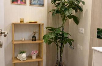 Almeida's House - Foto 8