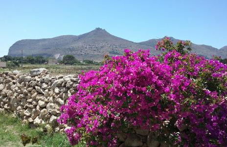 VillA LA PinetA - Foto 12